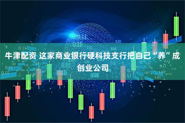 牛津配资 这家商业银行硬科技支行把自己“养”成创业公司