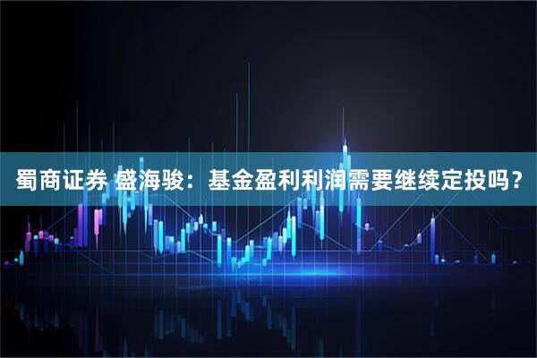 蜀商证券 盛海骏：基金盈利利润需要继续定投吗？
