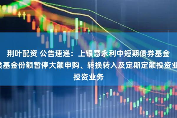 荆叶配资 公告速递：上银慧永利中短期债券基金C类基金份额暂停大额申购、转换转入及定期定额投资业务