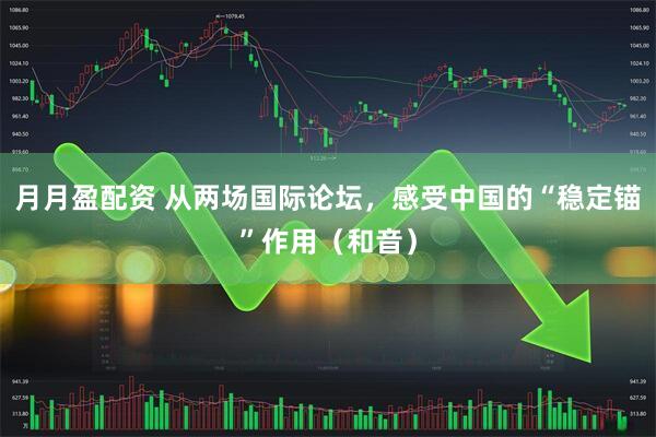 月月盈配资 从两场国际论坛，感受中国的“稳定锚”作用（和音）